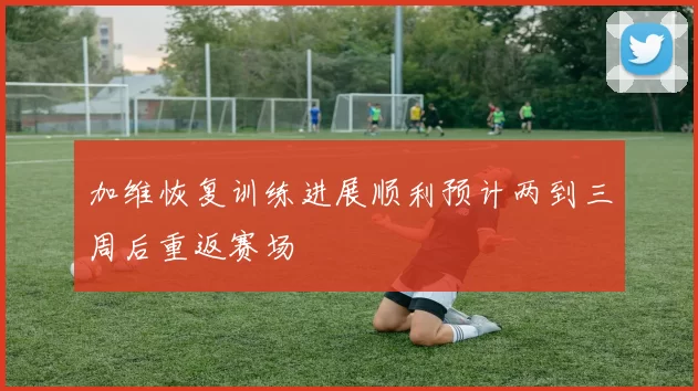 加维恢复训练进展顺利预计两到三周后重返赛场